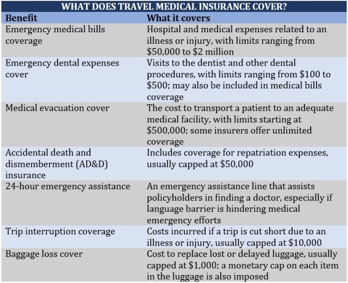 What are travel insurance pre existing conditions? | Insurance Business ...