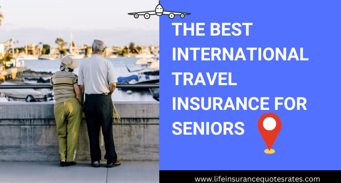Best Seniors Travel Insurance Over 65 Quotes [Compare Rates]