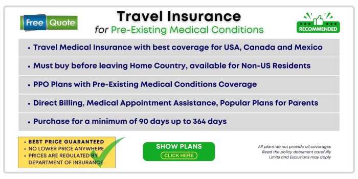 Travel Insurance from India to USA - All You Need to Know - OnshoreKare