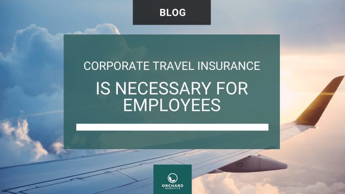 Why Corporate Travel Insurance Is Necessary For Employees - Orchard ...