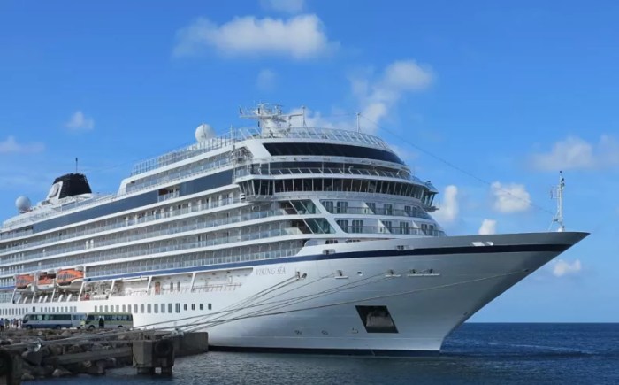 Is Viking Travel Insurance Worth It? - bedgut.com