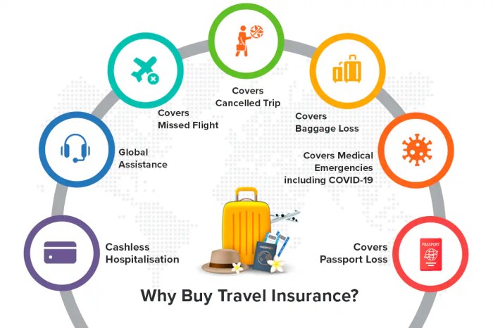 5 Best Medical Insurance For International Travel (🇿🇦 2025*)